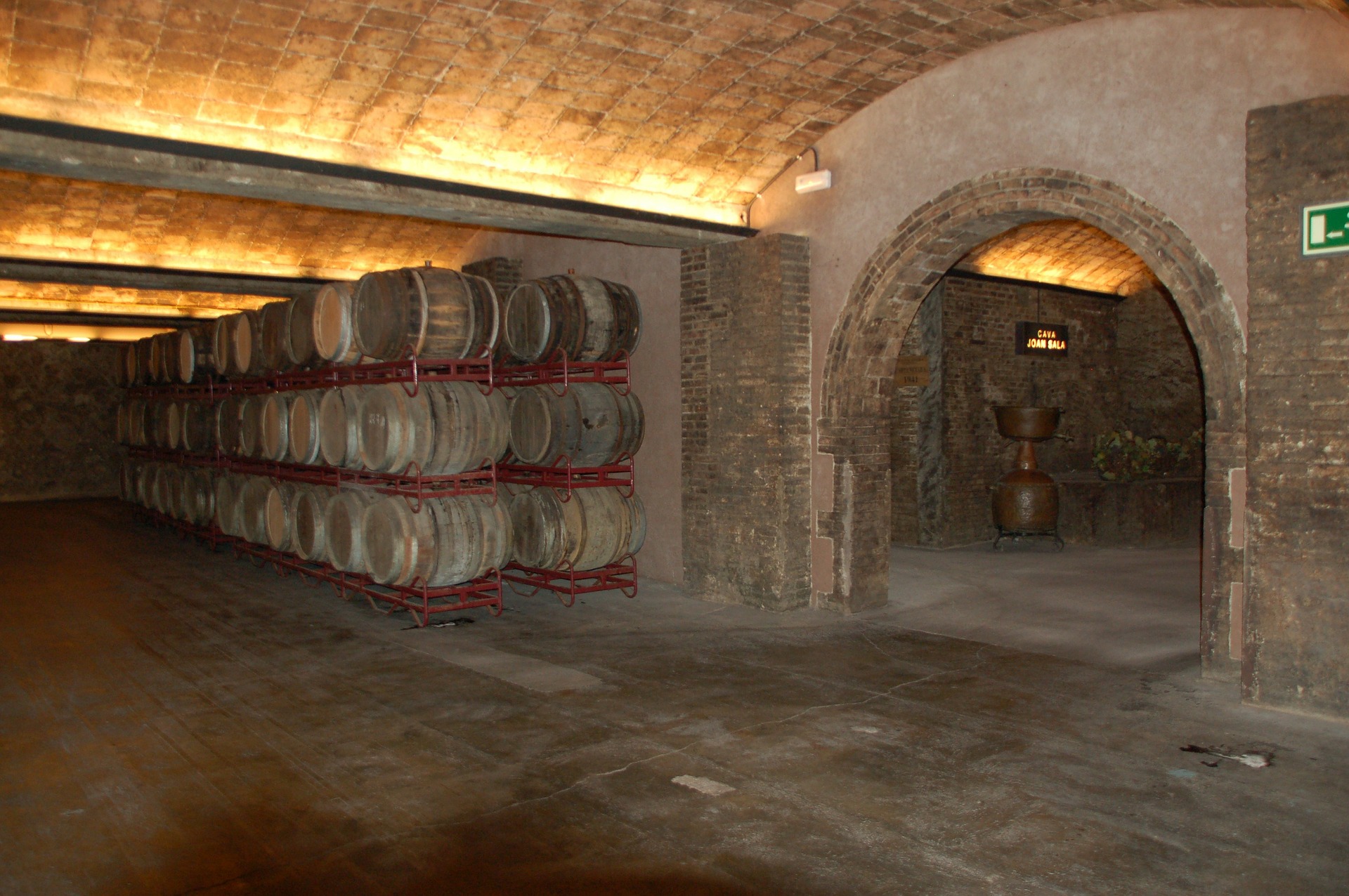 25 Basement Remodeling Ideas & Inspiration Basement Cold Cellar